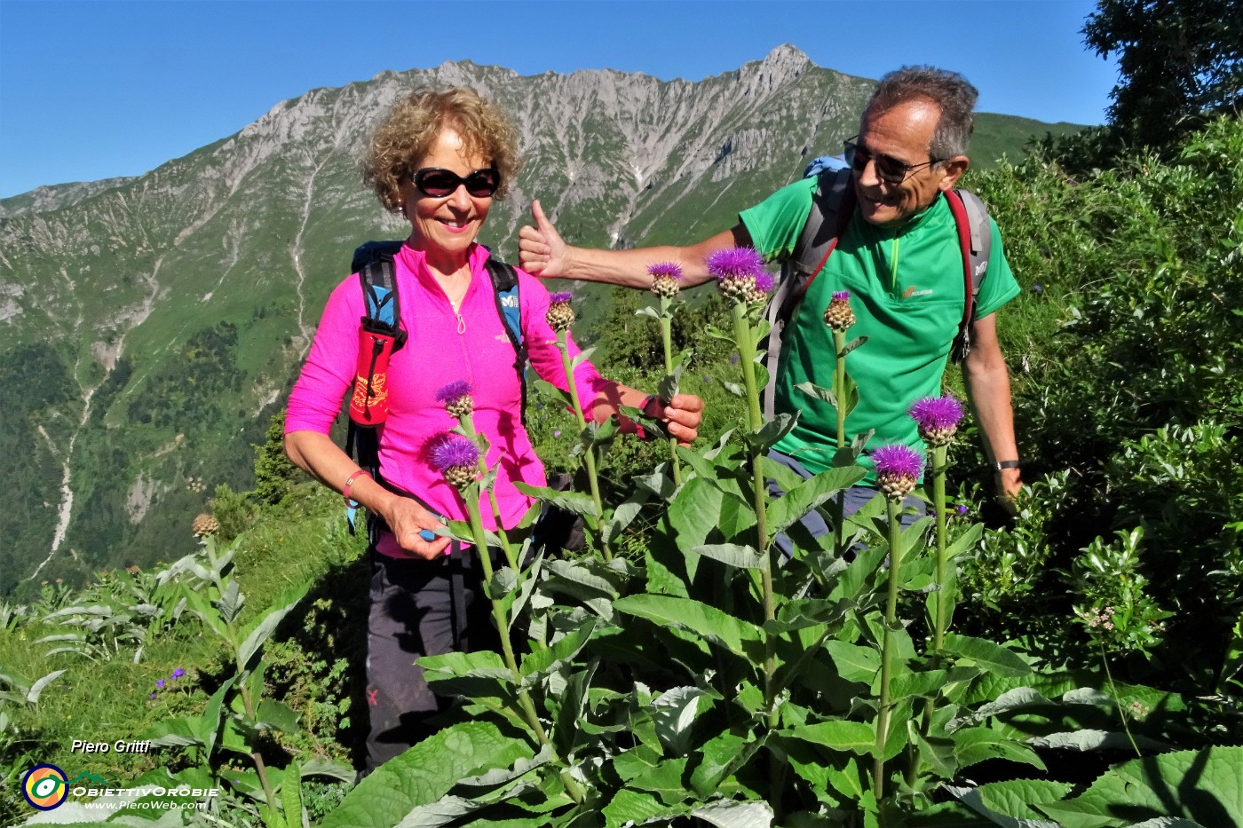 14 Fiordaliso rapontico (Rhaponticum scariosum) con vista in Menna.JPG